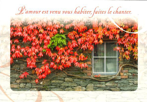 Kaart - 10x15cm - L'amour est venu...