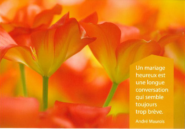 Kaart - 10x15cm - Un mariage heureux...