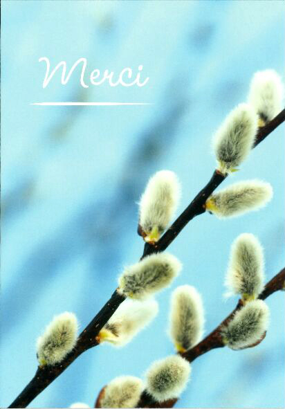 Kaart - 10x15cm - Merci