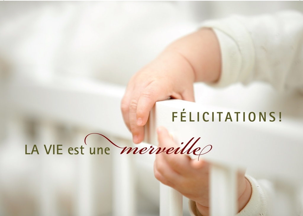 Kaart - 10x15cm - Félicitations! La vie est une merveille...