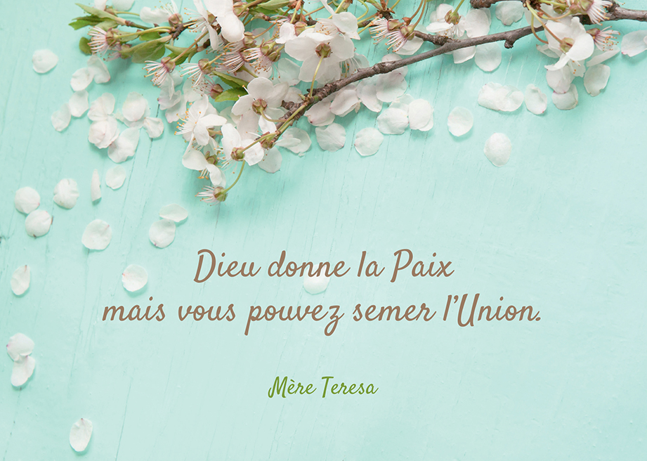 Kaart - 10x15cm - Mère Térèsa 'Dieu donne la Paix ...'