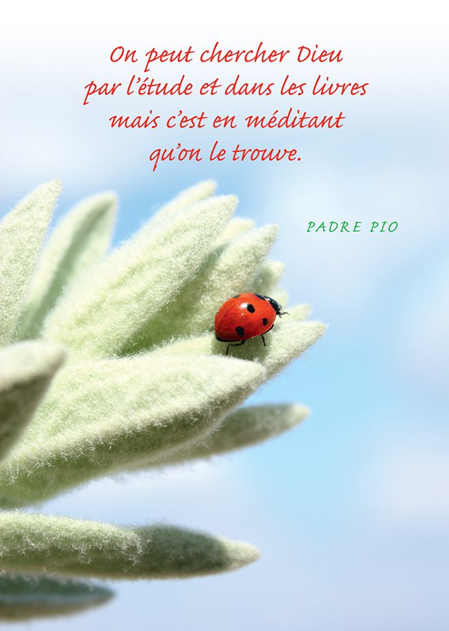 Kaart - 10x15cm - Padre Pio 'On peut chercher Dieu ...'