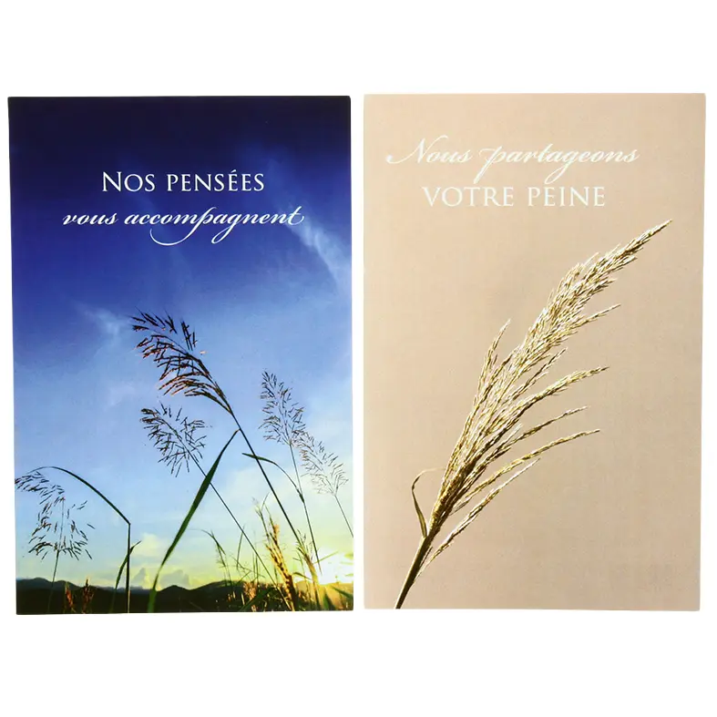 Pochette Sincères Condoléances - 2x3 cartes avec envelloppe
