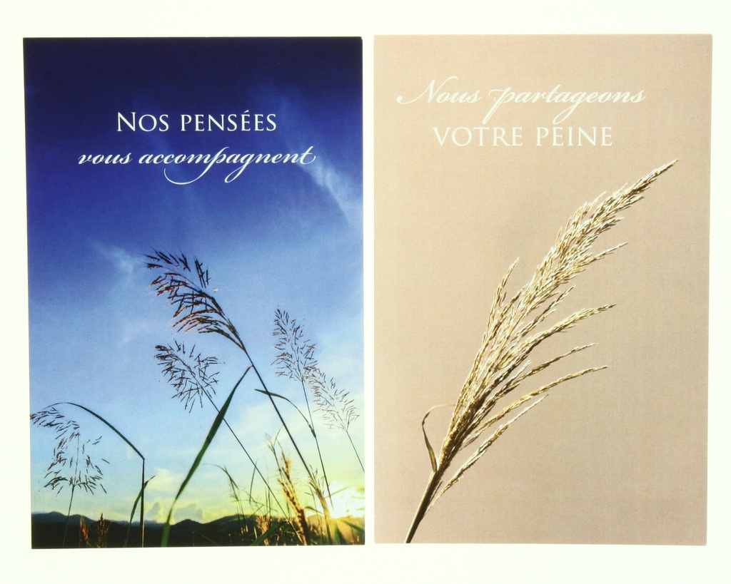 Pochette Sincères Condoléances - 2x3 kaarten met omslag