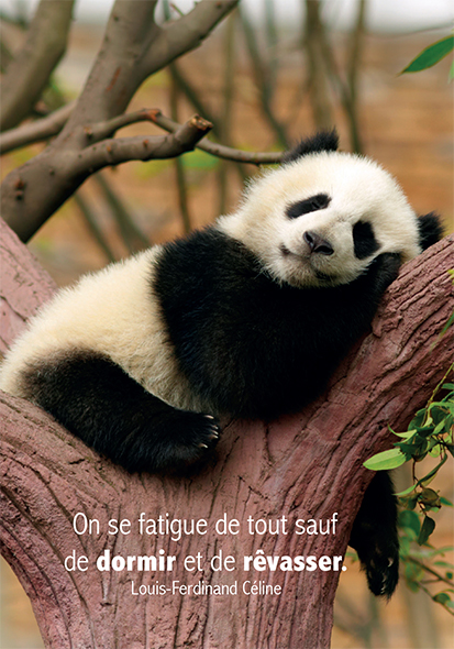 Carte simple 10.5x15cm - On se fatigue de tout