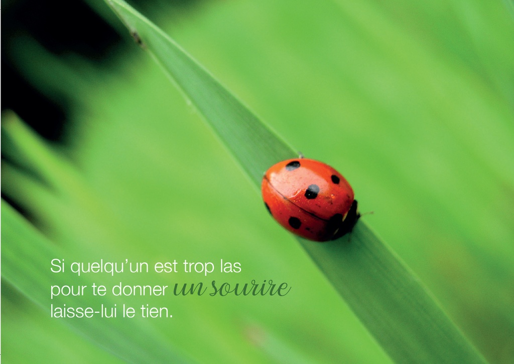 Kaart 10,5x15cm - Si quelqu'un est trop las...