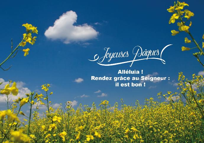 Carte simple 10,5x15cm - Joyeuses Pâques Alléluia!...