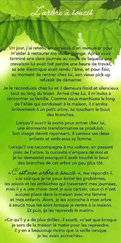 Carte texte 10.5x21cm + enveloppe - L'arbre … soucis