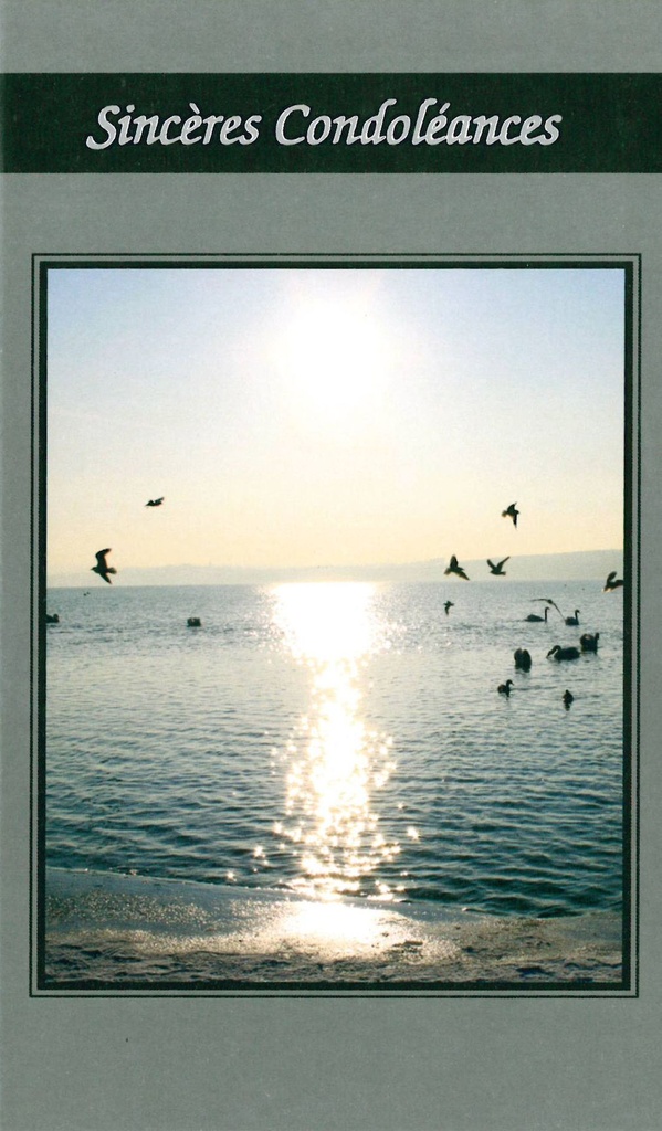 Carte double Sincères Condoléances - 9,5x16cm - envelop/cell