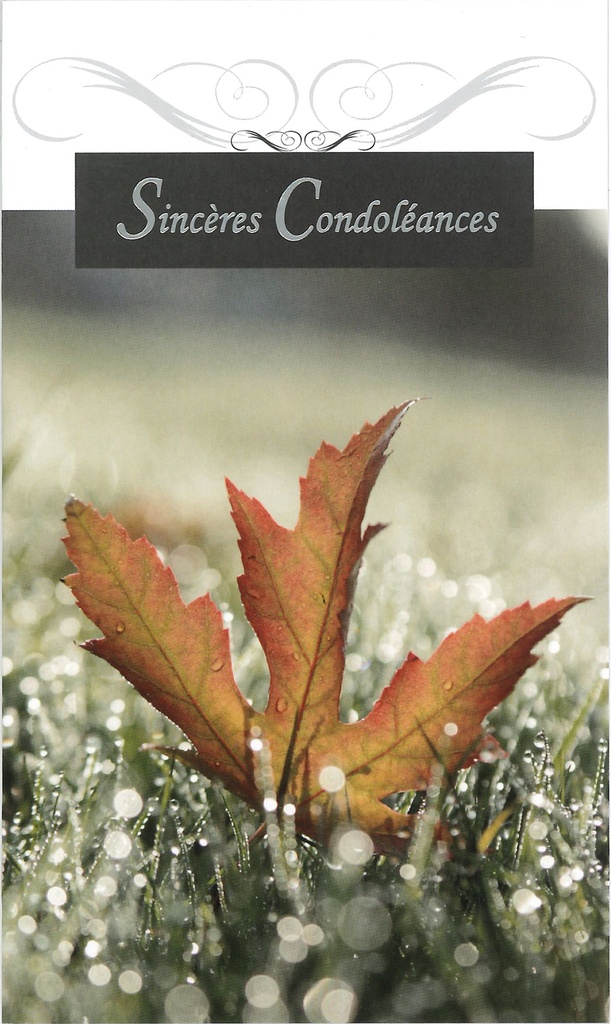 Carte double Sincères Condoléances - 9,5x16cm/cello+envelopp
