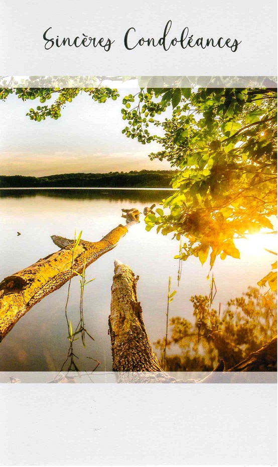 Wenskaart Sincères condoléances - 9,5x16cm/cello+omslag