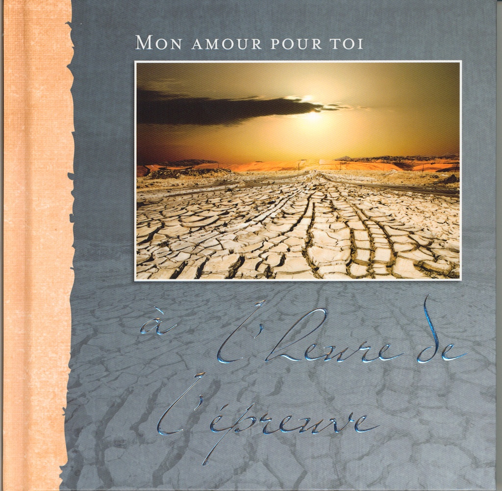 Boek A l'heure de l'épreuve