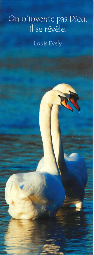 Signt communion - 5,5x15cm On n'invente...