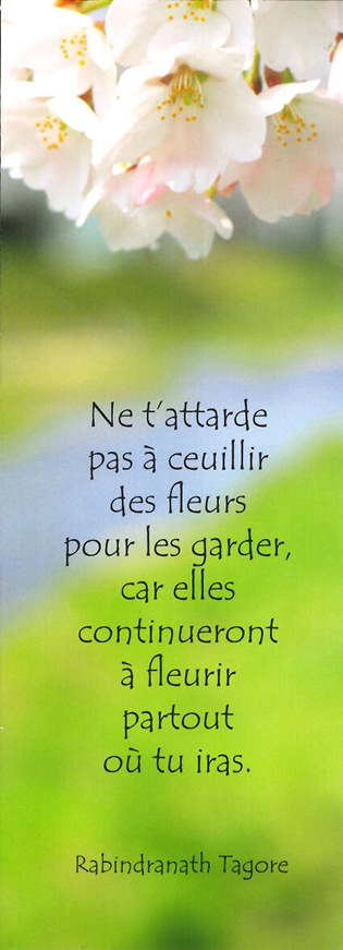 Signet communion - 5,5/15cm Ne t'attarde... (FAUTE ORTHO)