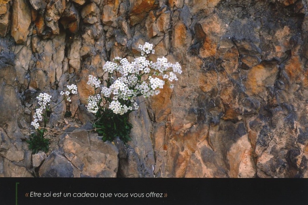 Etre soi est un cadeau que vous vous offrez