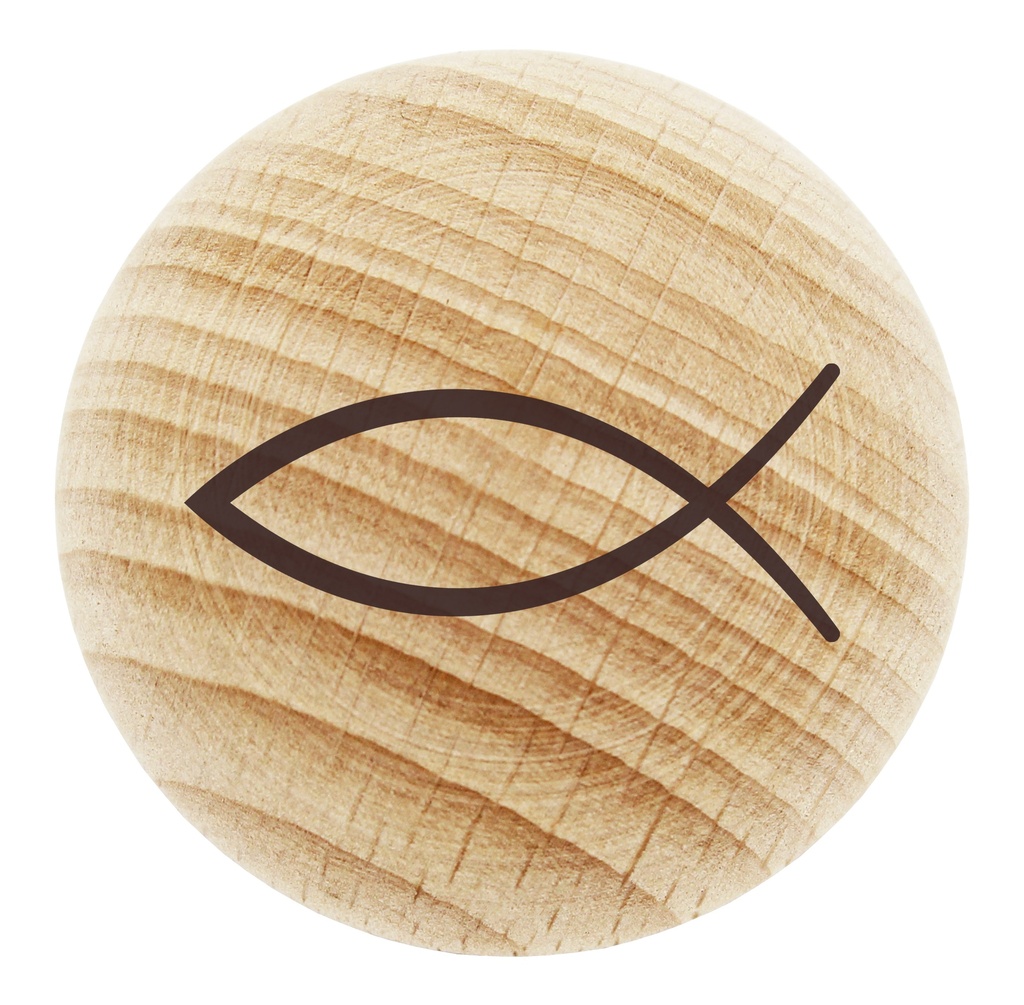 Begeleider 'Ichtus' - hout  -45mm