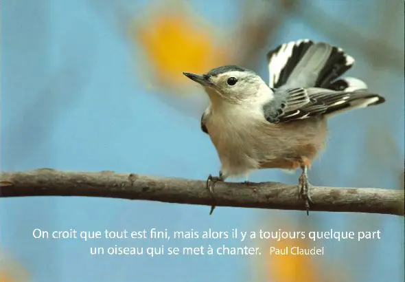 Magneet - 55x80mm - On croit que ...