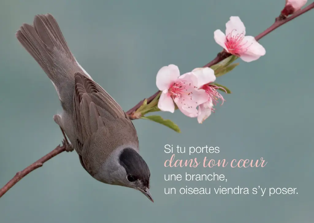 Magnet - 55x80mm - Si tu parles dans ...