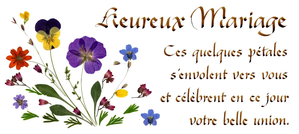 Carte série 'Citations - Le Mariage' - 'Ces quelques pétales...' - 10,5x21cm + envel.