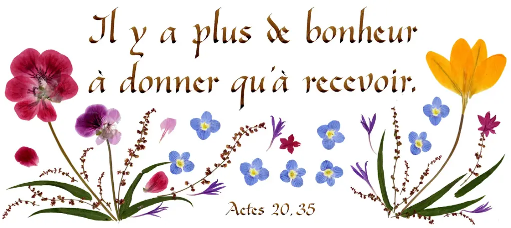 Kaart serie 'Citations - Le Bonheur' - 'Il y a plus de bonheur...' - 10,5x21cm + envel.