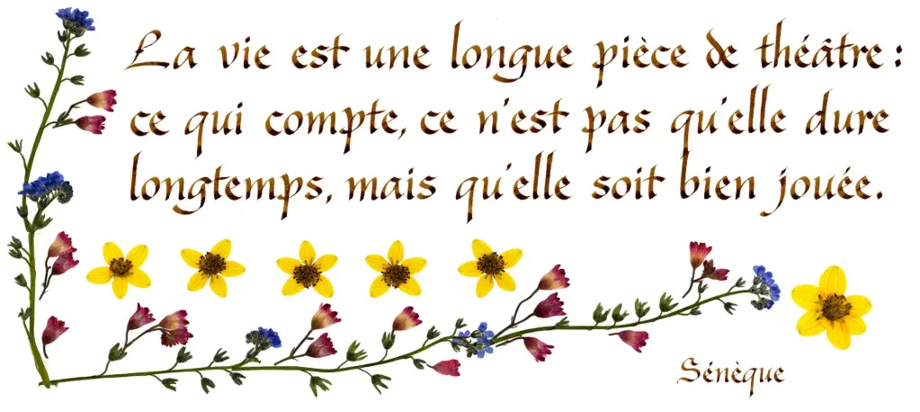 Kaart serie 'Citations - La Vie' - 'La vie est une longue...' - 10,5x21cm + envel.