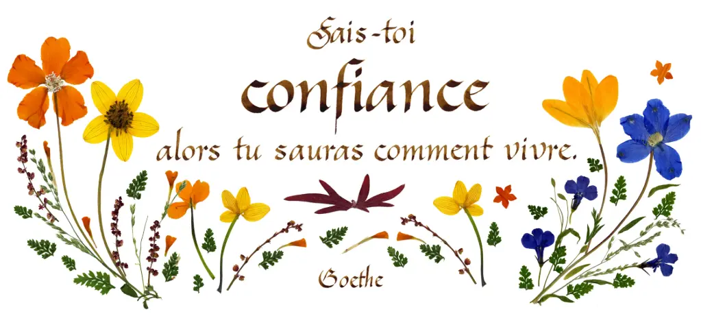 Kaart serie 'Citations - Sagesse' - 'Sais-toi confiance...' - 10,5x21cm + envel.