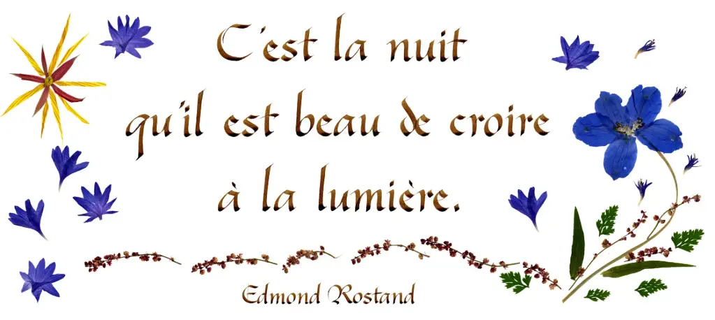 Carte série 'Citations - Divers' - 'C'est la nuit...' - 10,5x21cm + envel.