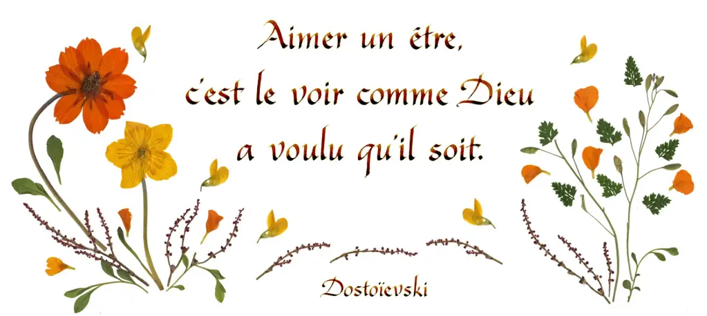 Kaart serie 'Citations - L'Amour' - 'Aimer un être...' - 10,5x21cm + envel.