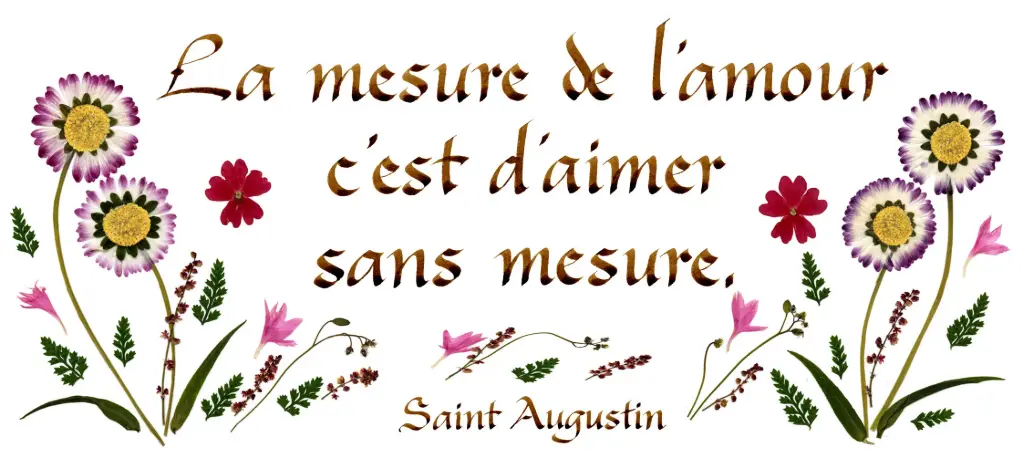 Kaart serie 'Citations - L'Amour' - 'La mesure de l'amour...' - 10,5x21cm + envel.