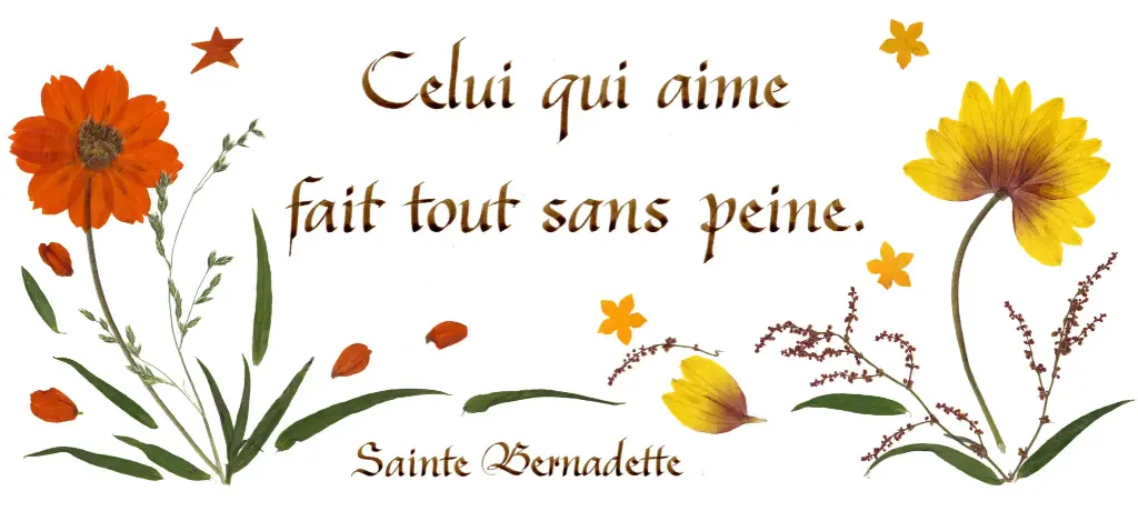 Kaart serie 'Citations - L'Amour' - 'Celui qui aime...' - 10,5x21cm + envel.