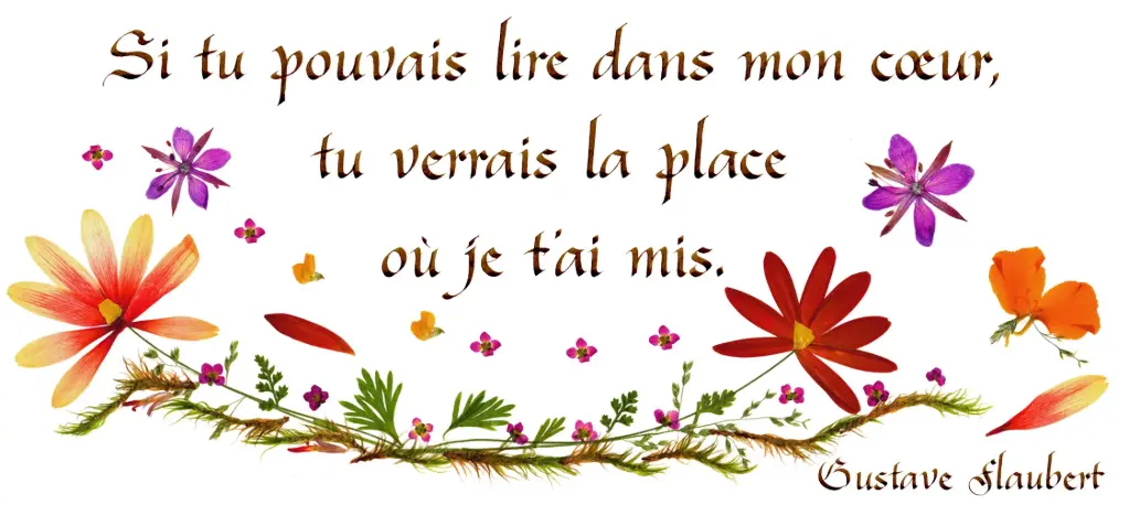 Kaart serie 'Citations - L'Amour' - 'Si tu pouvais lire ...' - 10,5x21cm + envel.