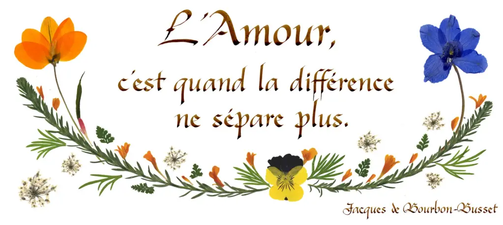 Kaart serie 'Citations - L'Amour' - 'L'Amour c'est quand...' - 10,5x21cm + envel.