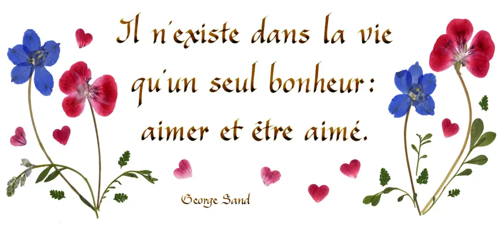 Kaart serie 'Citations - L'Amour' - 'Il n'existe dans la vie...' - 10,5x21cm + envel. 