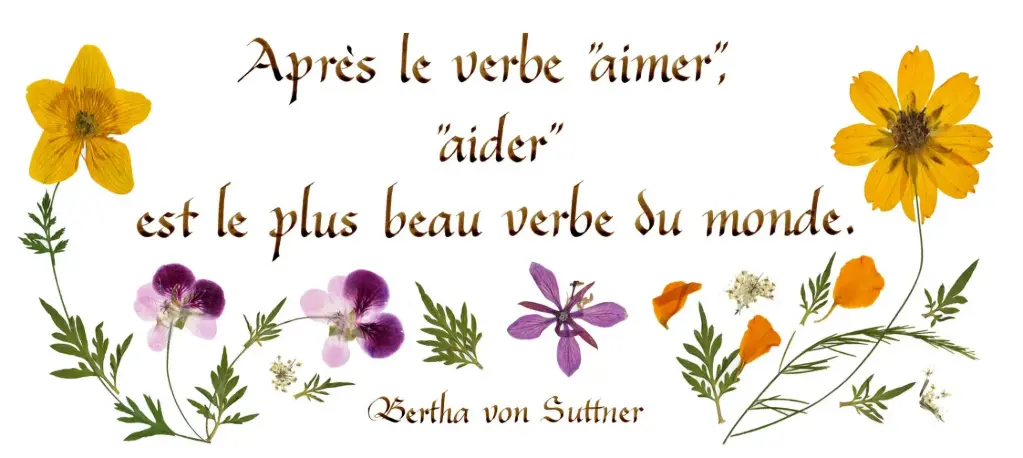 Carte série 'Citations - L'Amour' - 'Après le verbre"aimer"...' - 10,5x21cm + envel.