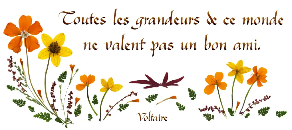 Carte série 'Citations - L'Amitié' - 'Toutes les grandeurs...' - 10,5x21cm + envel.