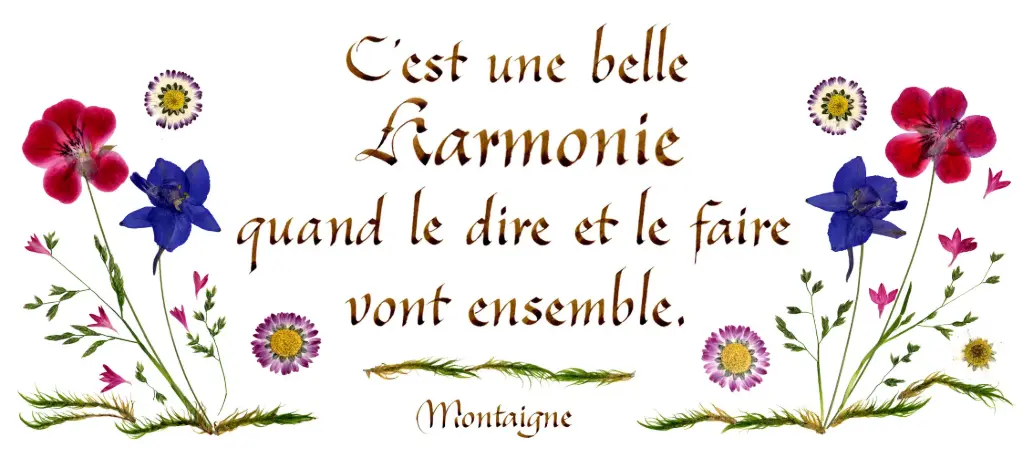 Kaart serie 'Citations - La Beauté' - 'C'est une belle harmonie...' - 10,5x21cm + envel.