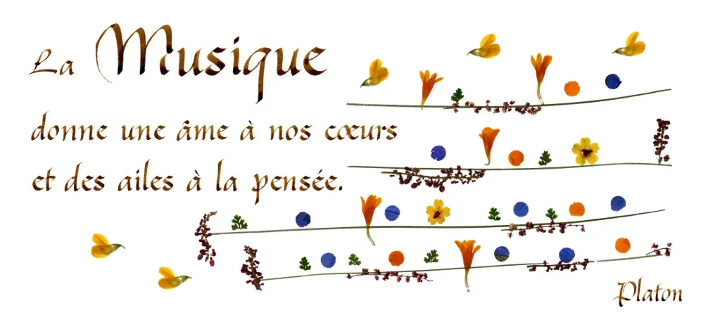 Carte série 'Citations - La Beauté' - 'La musique donne une âme...' - 10,5x21cm + envel.