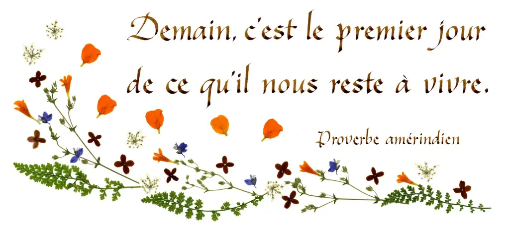 Carte série 'Citations - La Vie' - 'Demain, c'est le premier...' - 10,5x21cm + envel.