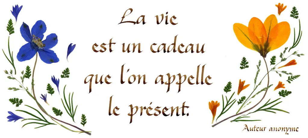 Kaart serie 'Citations - La Vie' - 'La vie est un cadeau...' - 10,5x21cm + envel.