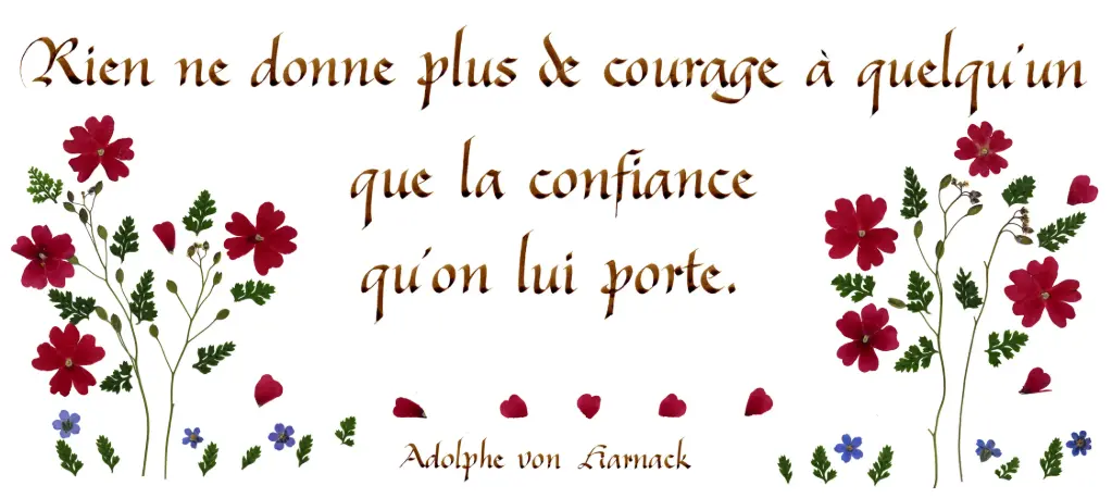 Kaart serie 'Citations - La Vie' - 'Rien ne donne plus de courage...' - 10,5x21cm + envel.