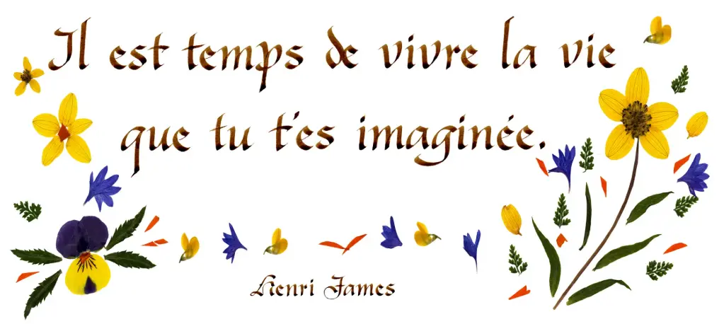 Carte série 'Citations - La Vie' - 'Il esttemps de vivre...' - 10,5x21cm + envel.