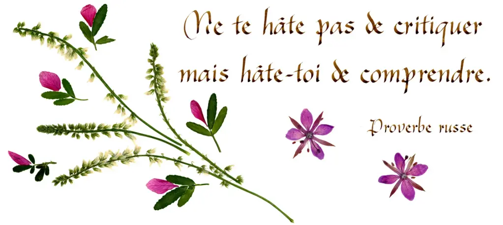 Kaart serie 'Citations - La Vie' - 'Ne te hâte pas de critiquer...' - 10,5x21cm + envel.