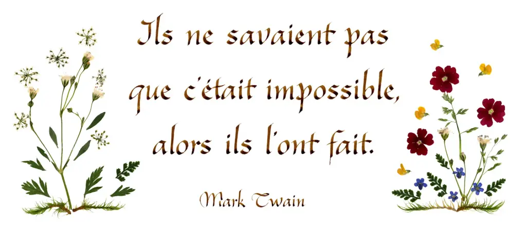 Kaart serie 'Citations - La Vie' - 'Ils ne savaient pas...' - 10,5x21cm + envel.