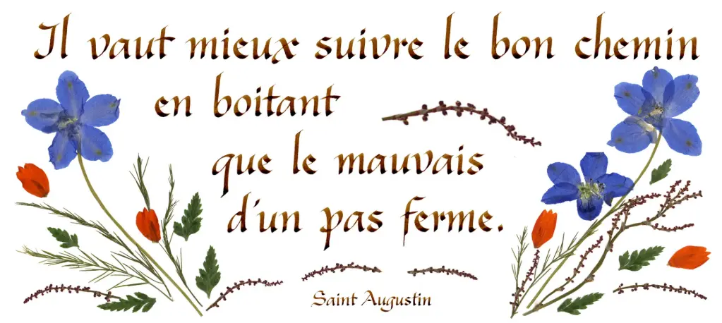 Kaart serie 'Citations - Divers' - 'Il vaut mieux suivre...' - 10,5x21cm + envel.