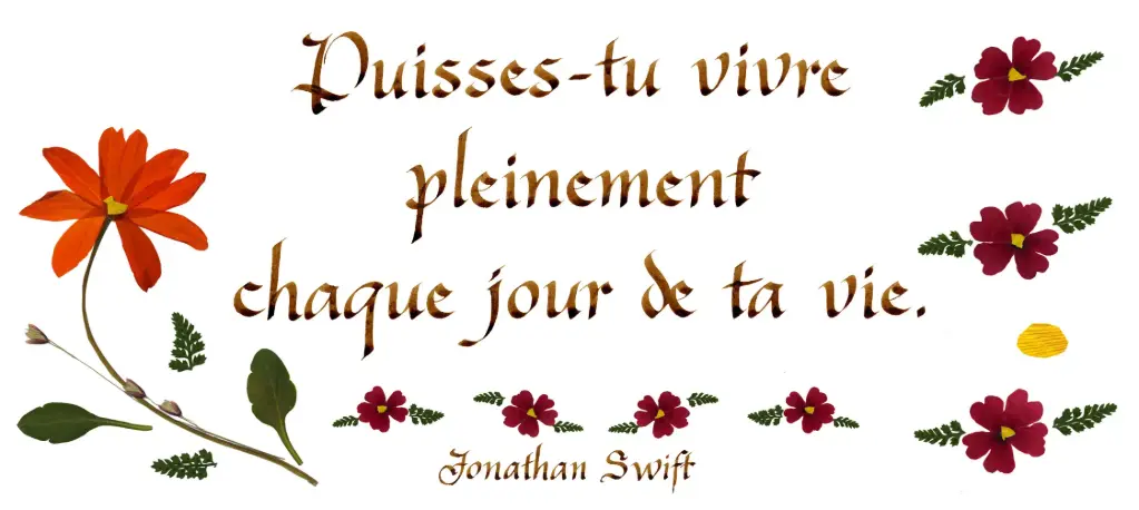 Carte série 'Citations - Divers' - 'Puisses-tu vivre pleinement...' - 10,5x21cm + envel.