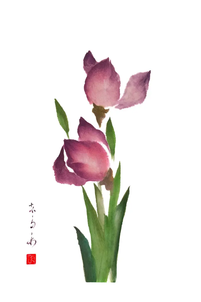 Carte double série 'Japonaise' - Ayame-iris 063 - 10x15cm + envel.