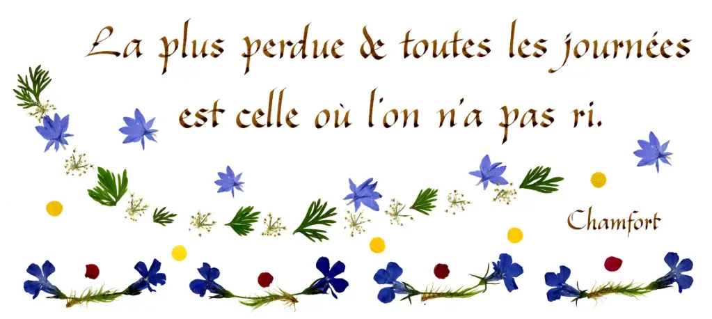 Carte série 'Citations - La Vie - 'La plus perdue de ...' - 10,5x21cm + envel.