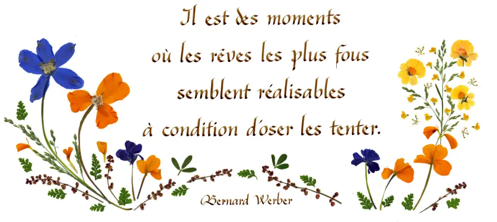 Kaart serie 'Citations - La Vie - 'Il est des moments ...' - 10,5x21cm + envel.
