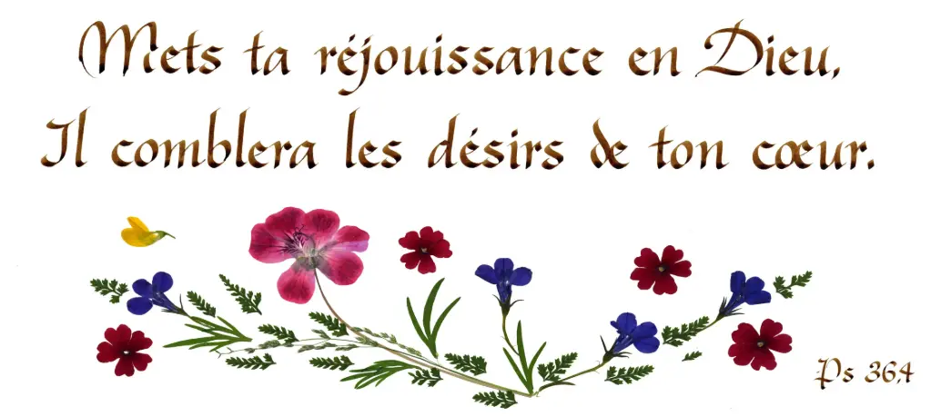 Kaart serie 'Citations - Psaumes' - 'Mets ta réjouissance...' - 10,5x21cm + envel.