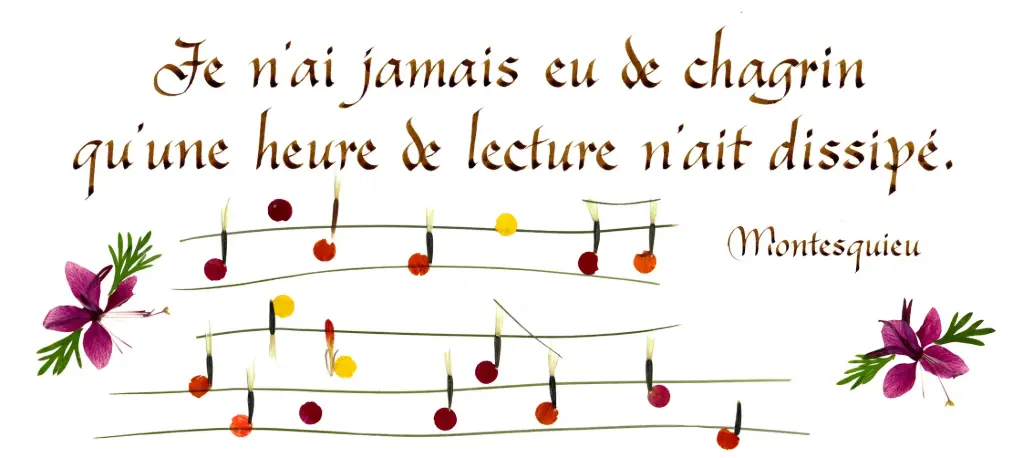 Kaart serie 'Citations - Divers' - 'Je n'ai jamais eu de chagrin...' - 10,5x21cm + envel.